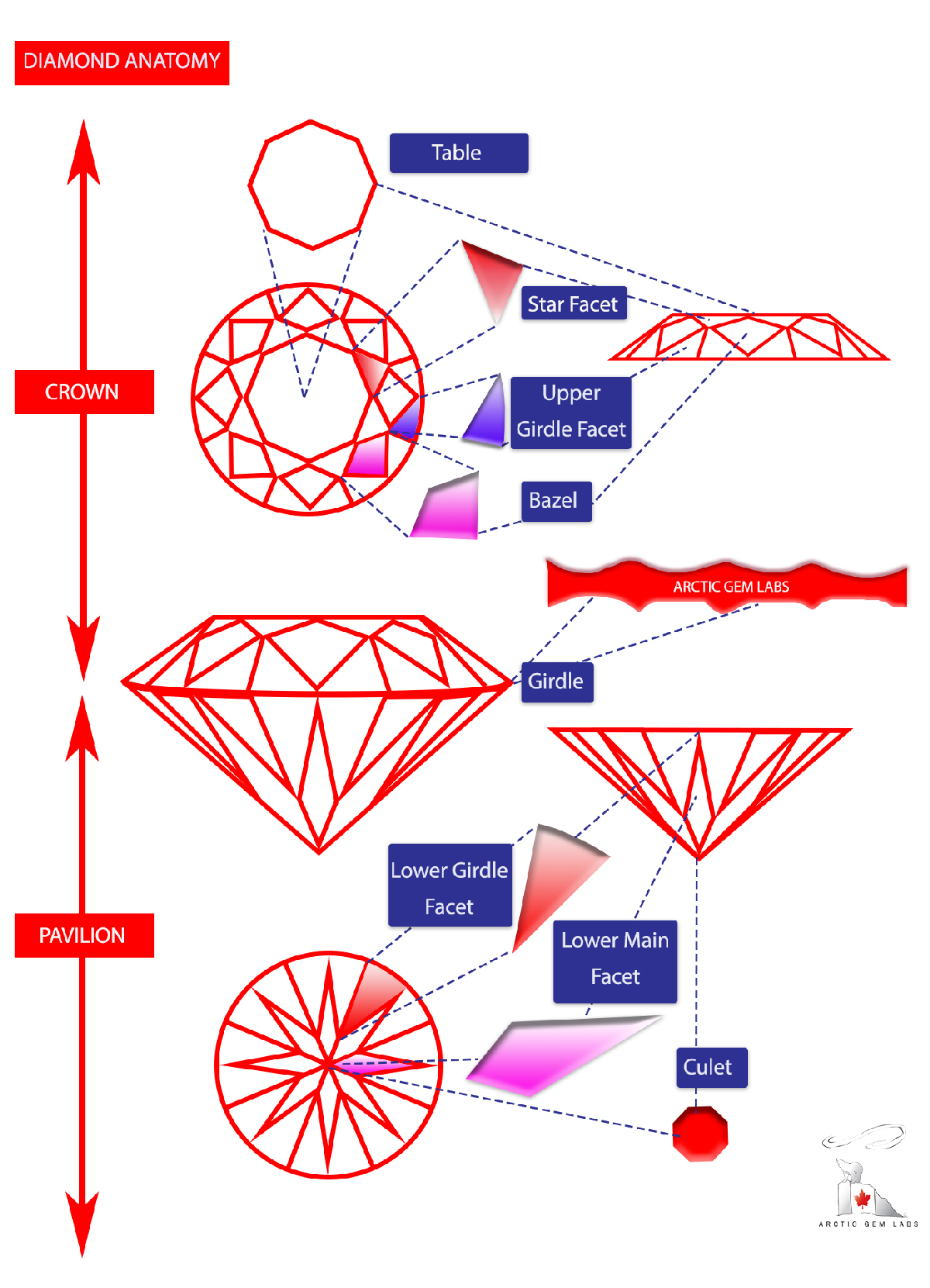 Diamond Anatomy