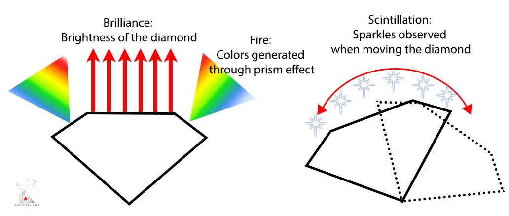 BFScintillation